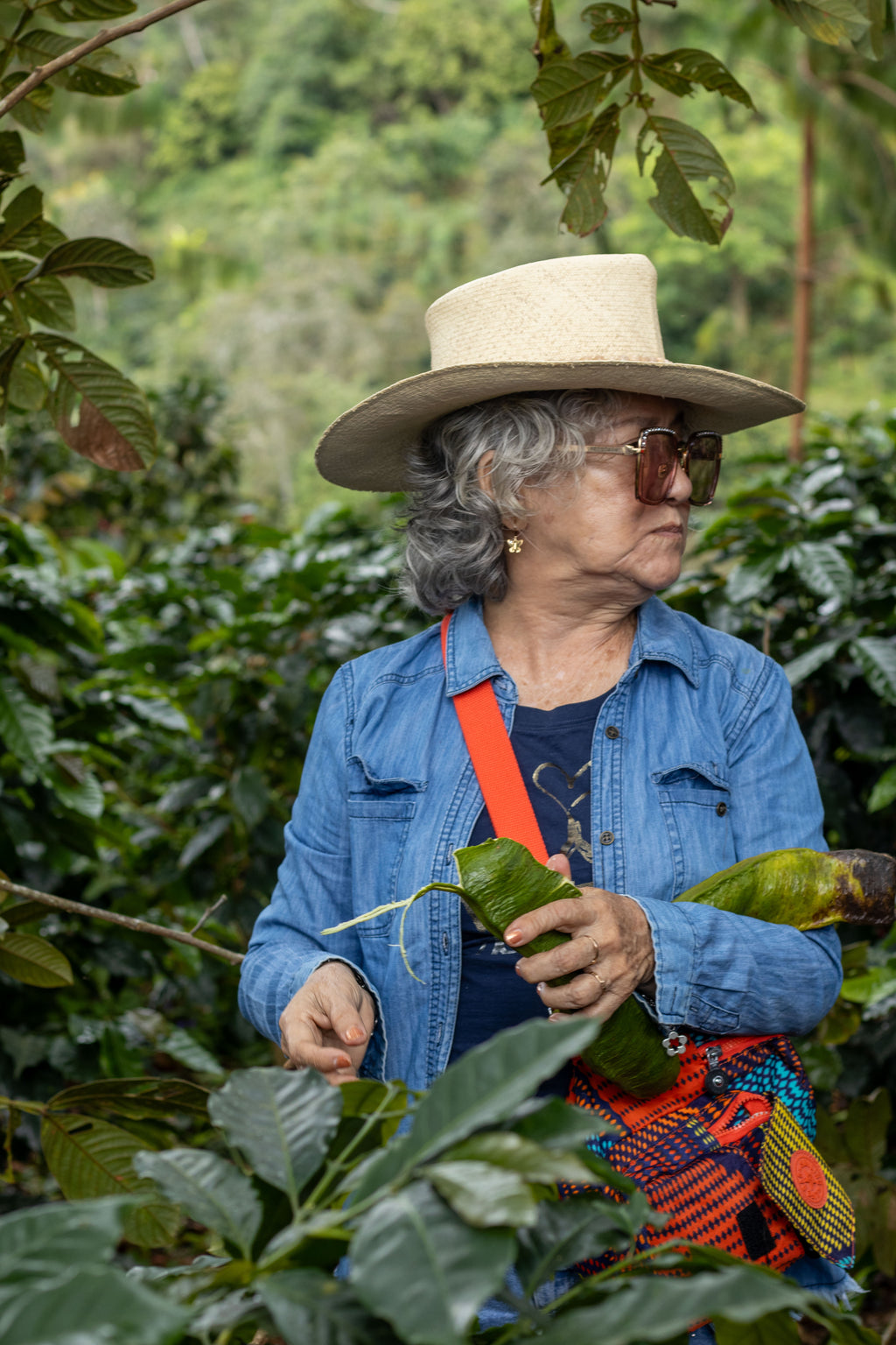 Excursión a Finca de Café en San Ignacio (Reserva)