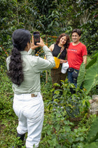 Excursión a Finca de Café en San Ignacio (Reserva)