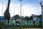 Excursión a Finca de Café en San Ignacio (Reserva)